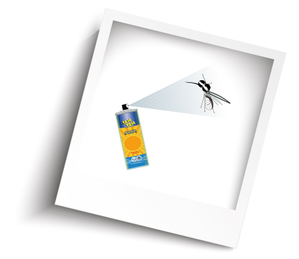 Gamma insetticidi professionali Lindenberg contro zanzare e insetti